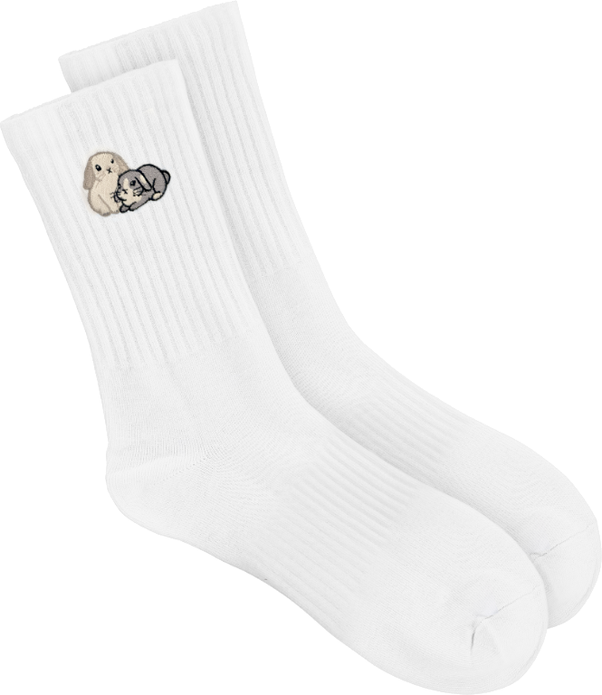 Maple and Flynn embroidered socks in a cute frame